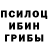 Псилоцибиновые грибы Cubensis Imnotneeno