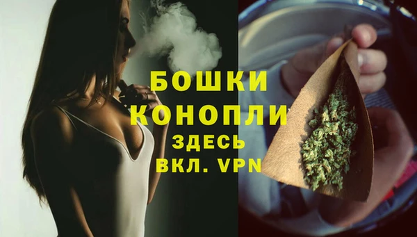 винт Новозыбков