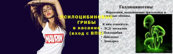 соль курить ск Новодвинск