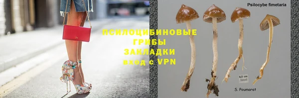 винт Новозыбков