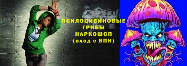 соль курить ск Новодвинск