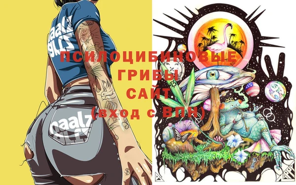 винт Новозыбков