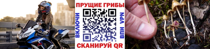 Галлюциногенные грибы MAGIC MUSHROOMS  Чита 