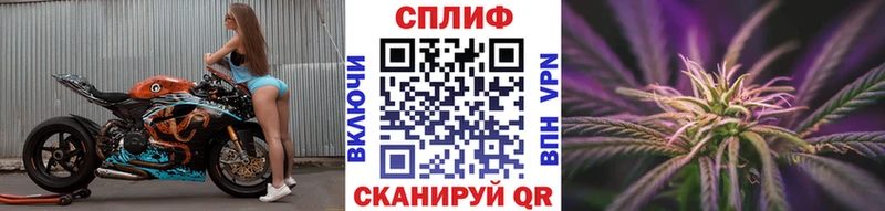Шишки марихуана сатива  закладки  Чита 